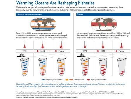 Fish migration patterns climate change