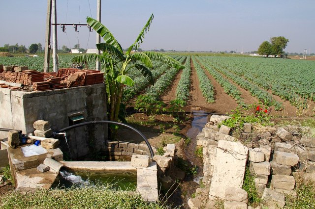 1200px-Ground_water_tubewell_irrigation_horticulture_Gujarat_India